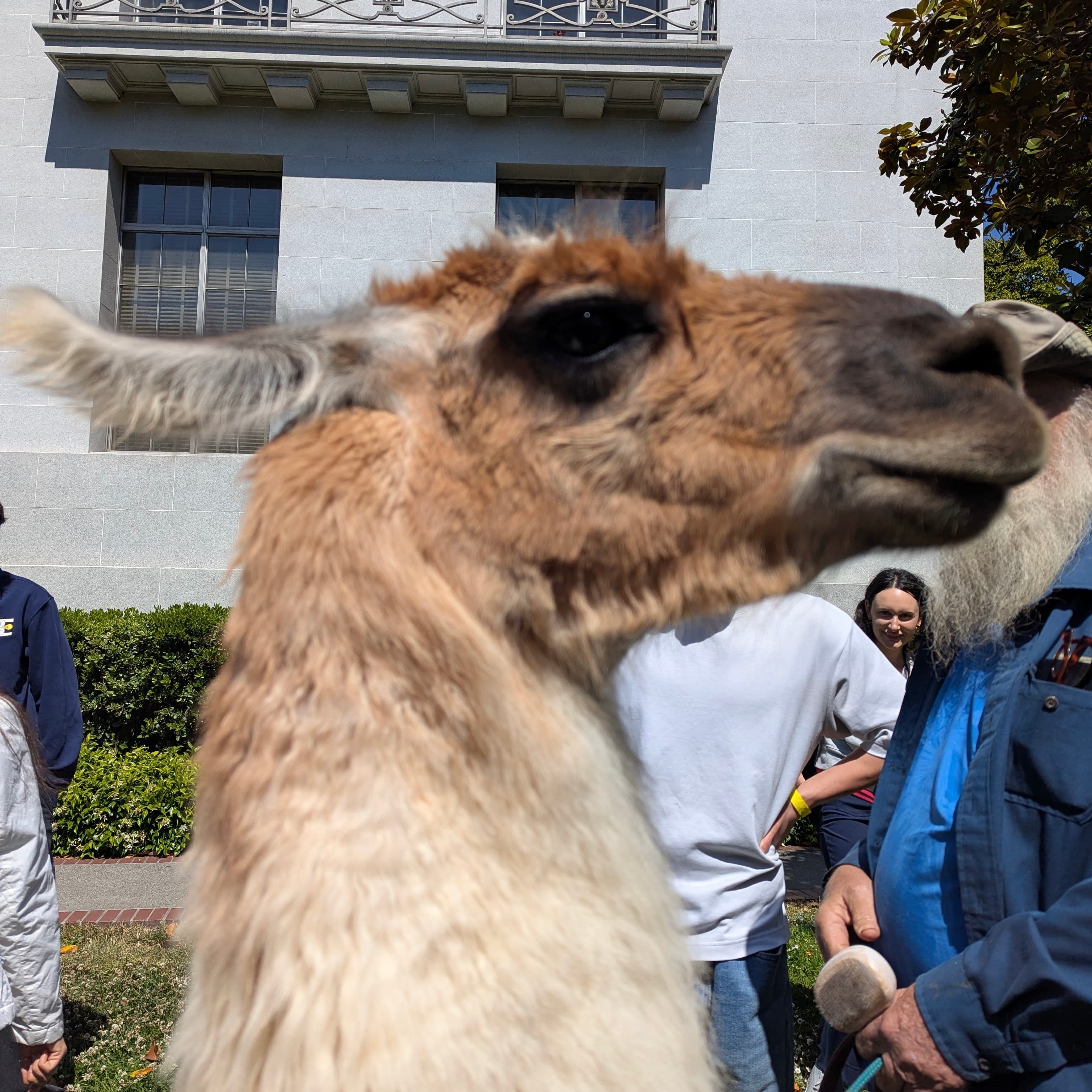 Berkeley AI Hackathon